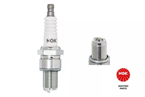 NGK Spark Plug (4076)