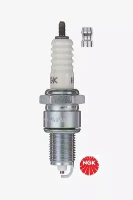 NGK Spark Plug (5411)