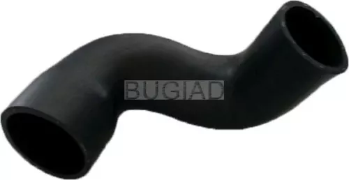 Charge Air Hose