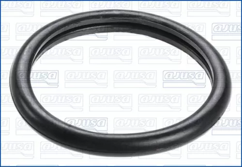 AJUSA Seal, thermostat (00538100)