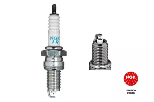 NGK Spark Plug (7901)