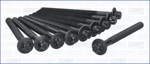 AJUSA Cylinder Head Bolt Set (81038800)
