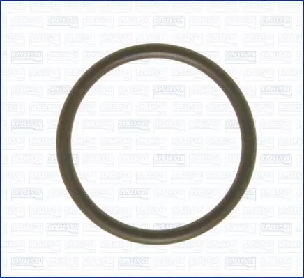 AJUSA Gasket, intake manifold (16023200)