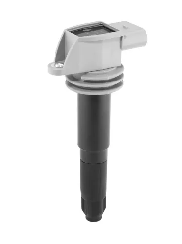 BorgWarner (BERU) Ignition Coil (ZSE052)