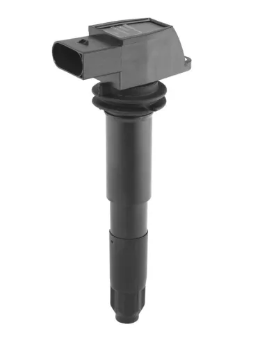 BorgWarner (BERU) Ignition Coil (ZSE012)