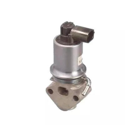 MAGNETI MARELLI EGR Valve (571822112013)