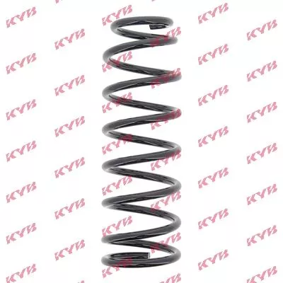 KYB Suspension Spring (RG6548)