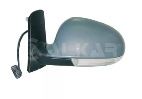 Exterior Mirror