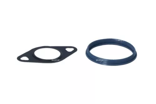 NRF EGR Valve (48339)