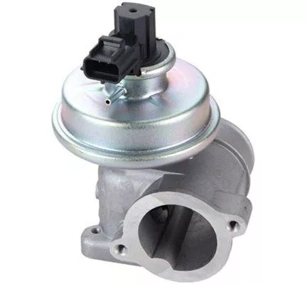 MAGNETI MARELLI EGR Valve (571822112109)