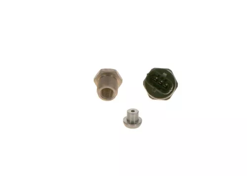 BOSCH Sensor, fuel pressure (F 00R 004 556)