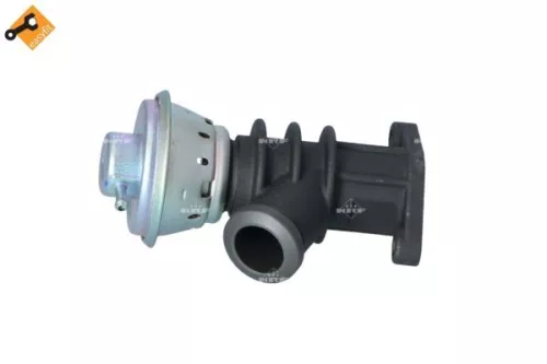 NRF EGR Valve (48387)