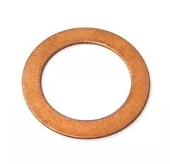 ELRING Seal Ring (381.700)
