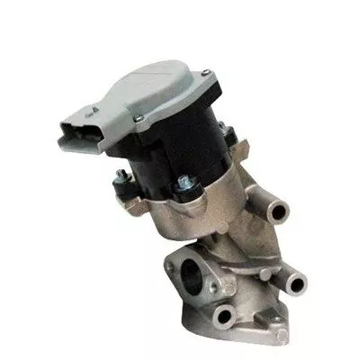 MAGNETI MARELLI EGR Valve (571822112032)