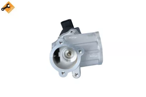 NRF EGR Valve (48331)