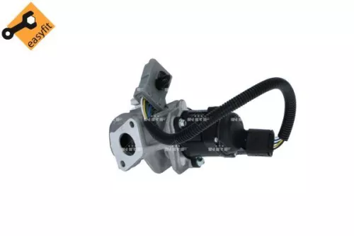 NRF EGR Valve (48385)