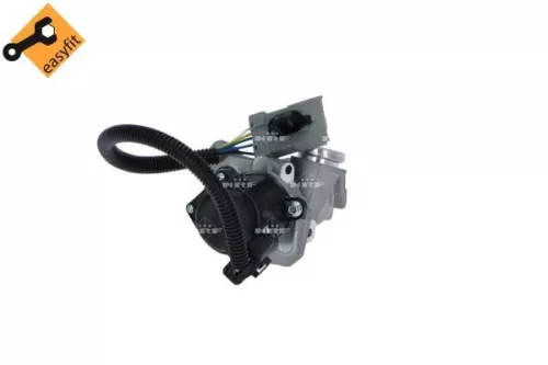 NRF EGR Valve (48385)