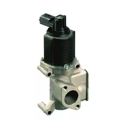 MAGNETI MARELLI EGR Valve (571822112065)