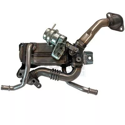 Cooler, exhaust gas recirculation
