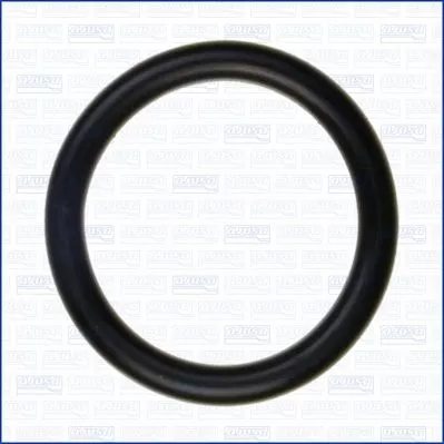 AJUSA Gasket, intake manifold (16091100)
