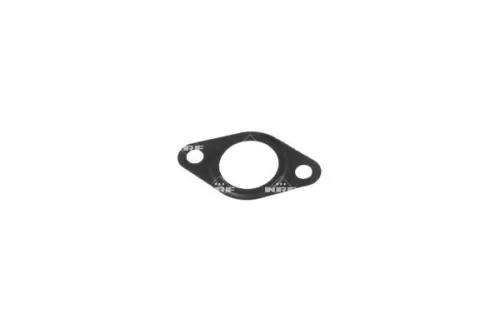 NRF EGR Valve (48389)