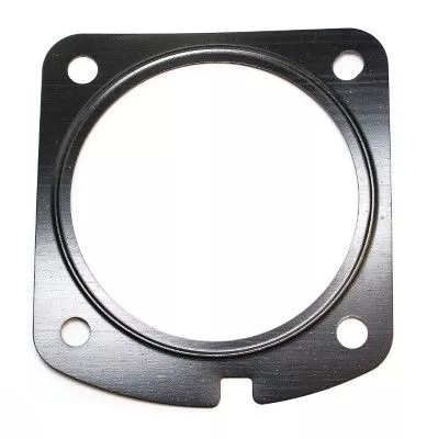 Gasket, EGR valve