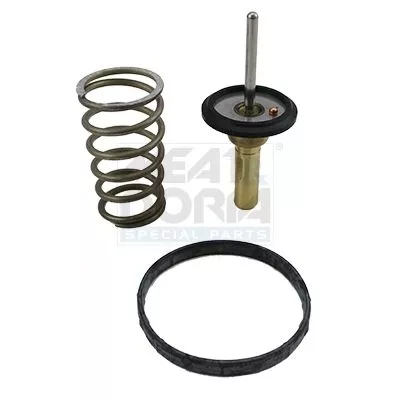 Thermostat, coolant