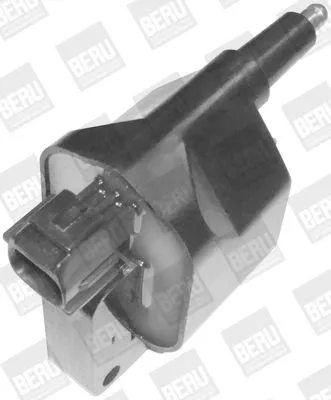 BorgWarner (BERU) Ignition Coil (ZS396)