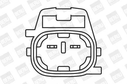 BorgWarner (BERU) Ignition Coil (ZS396)