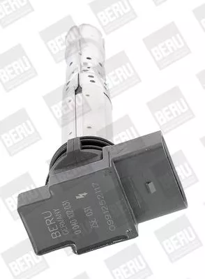BorgWarner (BERU) Ignition Coil (ZSE031)