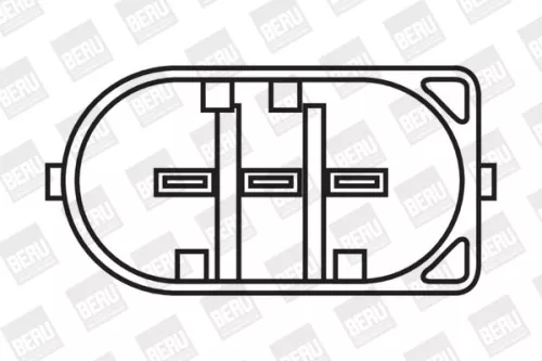 BorgWarner (BERU) Ignition Coil (ZS053)