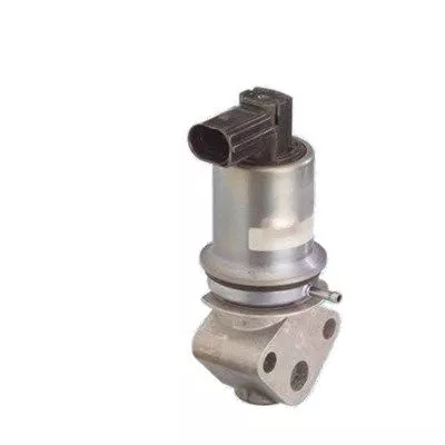 MAGNETI MARELLI EGR Valve (571822112011)