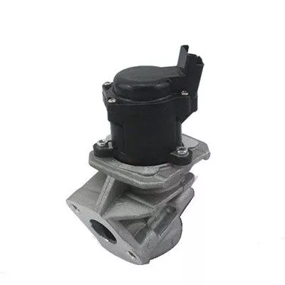 MAGNETI MARELLI EGR Valve (571822112029)