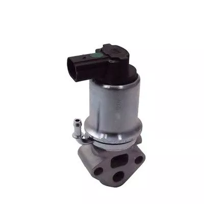 MAGNETI MARELLI EGR Valve (571822112014)