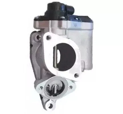 MAGNETI MARELLI EGR Valve (571822112140)