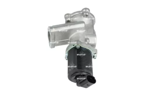 NRF EGR Valve (48325)
