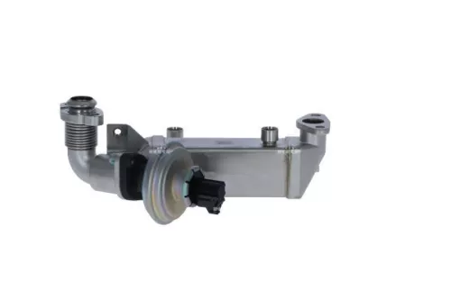 NRF EGR Valve (48365)
