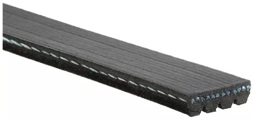 GATES V-ribbed Belt (4PK750)