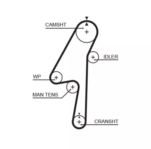 GATES Timing Belt (5580XS)