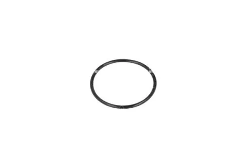 NRF Thermostat, coolant (725079)