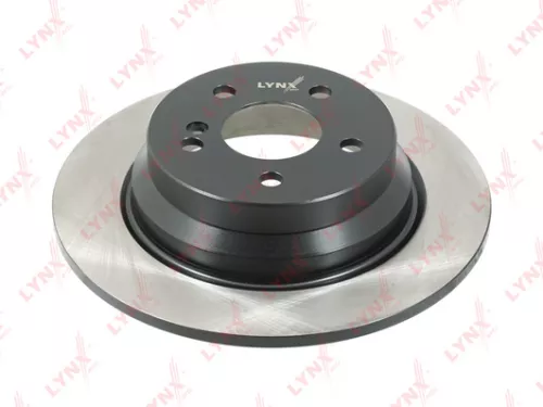 LYNXAUTO Brake disc, rear (300x10) (BN-1076)