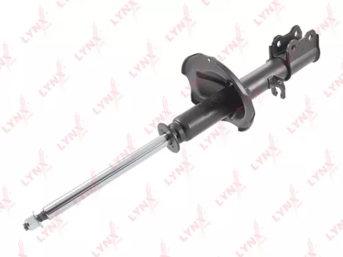 Shock absorber strut gas, left, rear