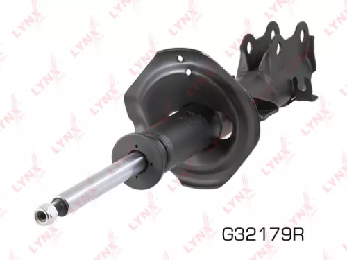 Shock absorber strut gas, right, front