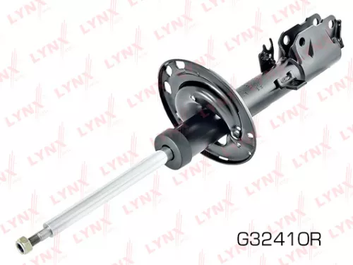 Shock absorber strut gas, right, rear