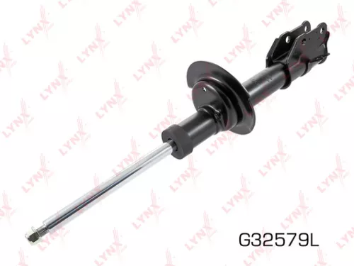 Shock absorber strut gas, left, front