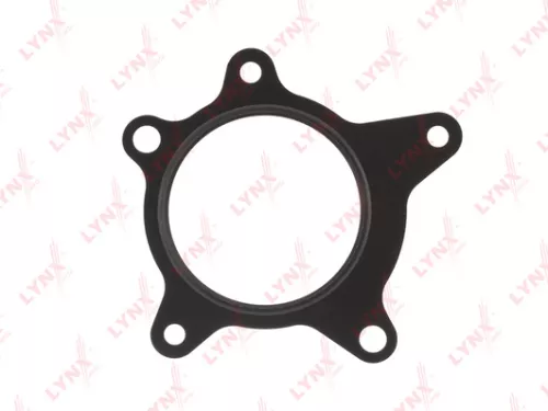LYNXAUTO Gasket, water pump (SG-1748)