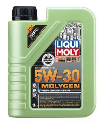Liqui Moly Engine Oil (9047)