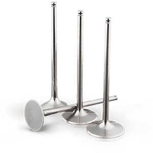 Intake Valves Intake Valves