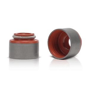 Valve Seals Valve Seals
