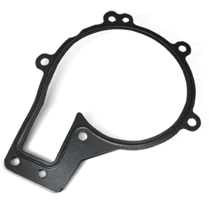 Water Pump Gasket Water Pump Gasket